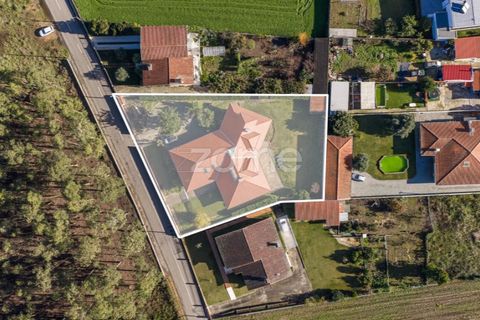 Villa i Quinta do Loureiro, Aveiro, Quinta do Loureiro - € 549.000 | Ref: ZMPT583250 - foto 43