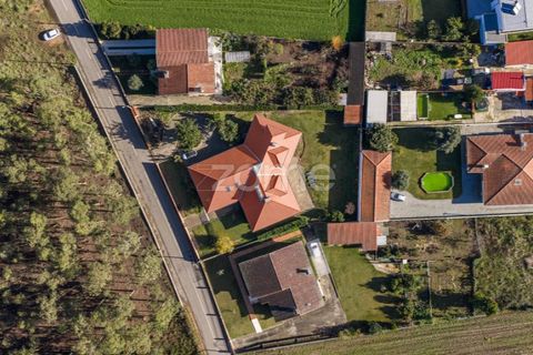 Villa i Quinta do Loureiro, Aveiro, Quinta do Loureiro - € 549.000 | Ref: ZMPT583250 - foto 44