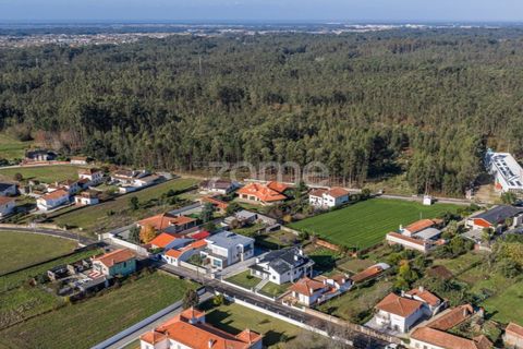 Villa i Quinta do Loureiro, Aveiro, Quinta do Loureiro - € 549.000 | Ref: ZMPT583250 - foto 45