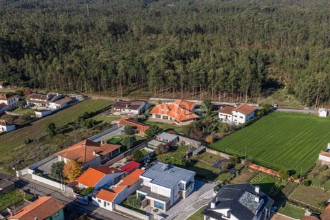 Villa i Quinta do Loureiro, Aveiro, Quinta do Loureiro - € 549.000 | Ref: ZMPT583250 - foto 47