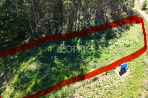 Terra em Cristelo, Braga, Cristelo - € 19.900 | Ref: ZMPT589379 - foto 2