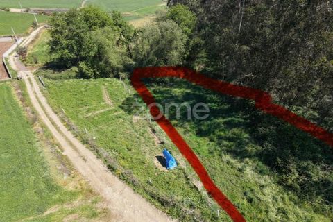 Terra em Cristelo, Braga, Cristelo - € 19.900 | Ref: ZMPT589379 - foto 3