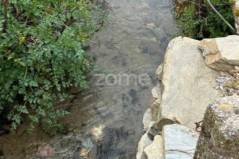Terra em Cristelo, Braga, Cristelo - € 19.900 | Ref: ZMPT589379 - foto 9