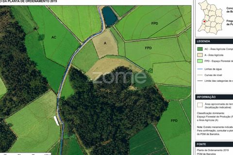 Terra em Cristelo, Braga, Cristelo - € 19.900 | Ref: ZMPT589379 - foto 12