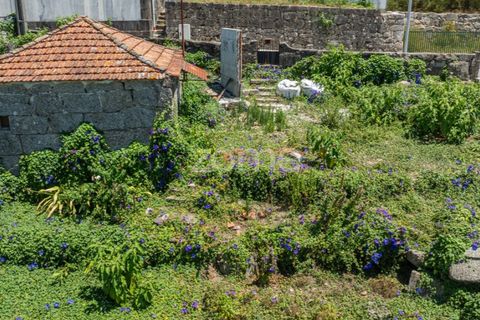Helårsgrund i Paredes, Porto, Paredes - € 78.500 | Ref: ZMPT590904 - foto 19