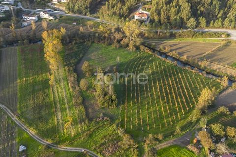 Helårsgrund i Sobreira, Porto, Sobreira - € 39.000 | Ref: ZMPT570602 - foto 4