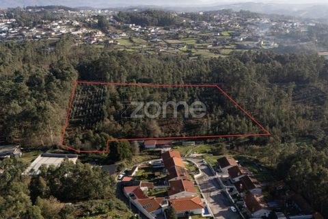 Helårsgrund i Argoncilhe, Aveiro, Argoncilhe - € 790.000 | Ref: ZMPT563841 - foto 10