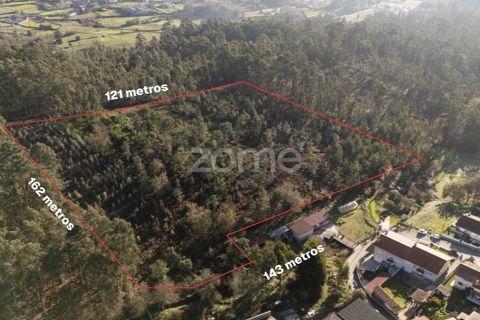 Helårsgrund i Argoncilhe, Aveiro, Argoncilhe - € 790.000 | Ref: ZMPT563841 - foto 14