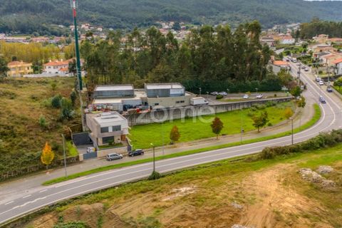 Terreno en Pousa, Braga, Pousa - € 49.000 | Ref: ZMPT572365 - photo 6