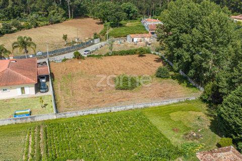 Helårsgrund i Grijo, Porto, Grijo - € 79.000 | Ref: ZMPT560089 - foto 4