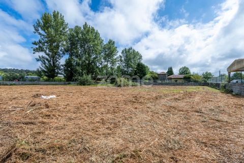 Helårsgrund i Grijo, Porto, Grijo - € 79.000 | Ref: ZMPT560089 - foto 14
