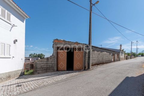 Villa a Pinhel, Guarda, Pinhel - € 39.000 | Ref: ZMPT569019 - foto 3