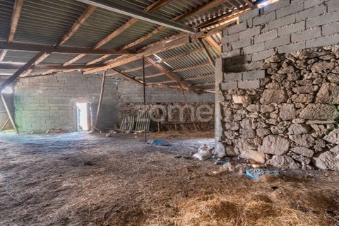 Villa a Pinhel, Guarda, Pinhel - € 39.000 | Ref: ZMPT569019 - foto 12