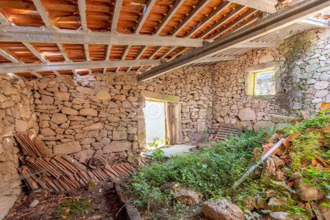 Villa a Pinhel, Guarda, Pinhel - € 39.000 | Ref: ZMPT569019 - foto 22