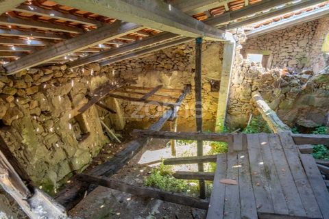 Villa a Pinhel, Guarda, Pinhel - € 39.000 | Ref: ZMPT569019 - foto 23