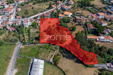 Helårsgrund i Grijo, Porto, Grijo - € 185.000 | Ref: ZMPT582835 - foto 13
