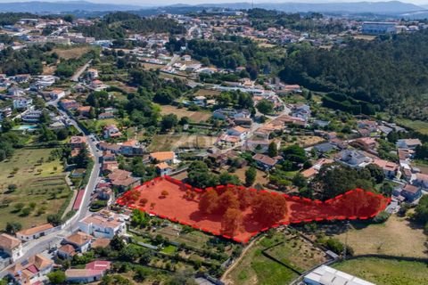 Helårsgrund i Grijo, Porto, Grijo - € 185.000 | Ref: ZMPT582835 - foto 16