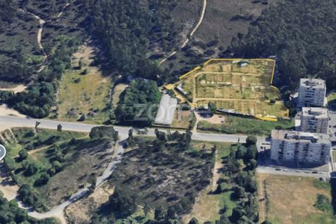 Tomt i Valongo, Porto, Valongo - € 990 000 | Ref: ZMPT588640 - foto 4