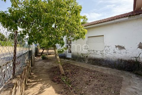 Villa i Santo Tirso, Porto, Santo Tirso - € 144.900 | Ref: ZMPT579632 - foto 8