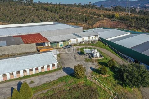 Bungalow i Santo Tirso, Porto, Santo Tirso - € 750.000 | Ref: ZMPT578694 - foto 8