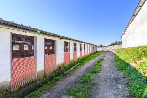 Bungalow i Santo Tirso, Porto, Santo Tirso - € 750.000 | Ref: ZMPT578694 - foto 23