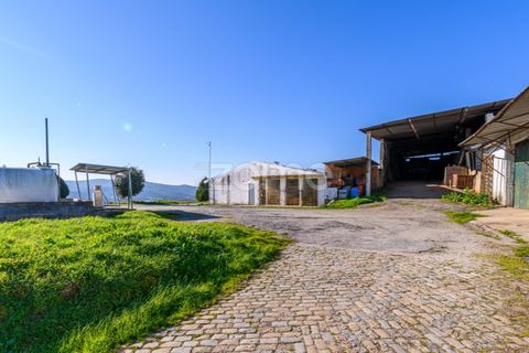 Bungalow i Santo Tirso, Porto, Santo Tirso - € 750.000 | Ref: ZMPT578694 - foto 31