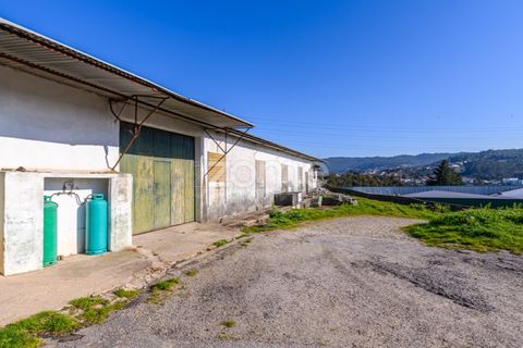 Bungalow i Santo Tirso, Porto, Santo Tirso - € 750.000 | Ref: ZMPT578694 - foto 33