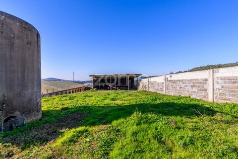 Bungalow i Santo Tirso, Porto, Santo Tirso - € 750.000 | Ref: ZMPT578694 - foto 36
