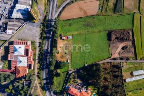 Helårsgrund i Esposende, Braga, Esposende - € 1.080.000 | Ref: ZMPT554509 - foto 2