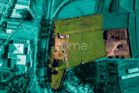 Helårsgrund i Esposende, Braga, Esposende - € 1.080.000 | Ref: ZMPT554509 - foto 3