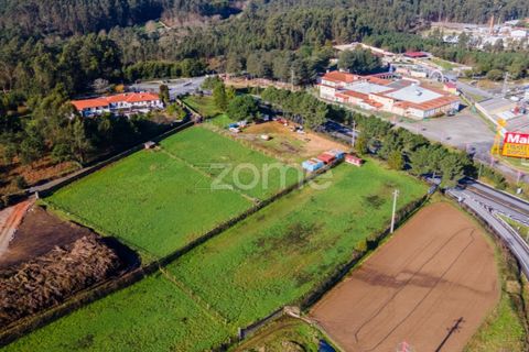 Helårsgrund i Esposende, Braga, Esposende - € 1.080.000 | Ref: ZMPT554509 - foto 5
