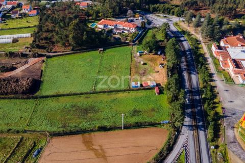 Helårsgrund i Esposende, Braga, Esposende - € 1.080.000 | Ref: ZMPT554509 - foto 6