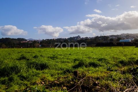 Helårsgrund i Esposende, Braga, Esposende - € 1.080.000 | Ref: ZMPT554509 - foto 8