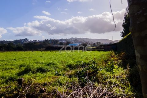 Helårsgrund i Esposende, Braga, Esposende - € 1.080.000 | Ref: ZMPT554509 - foto 9