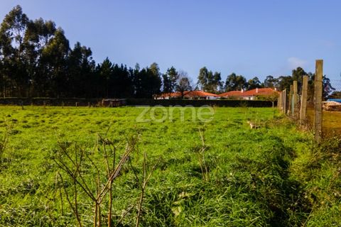 Helårsgrund i Esposende, Braga, Esposende - € 1.080.000 | Ref: ZMPT554509 - foto 10