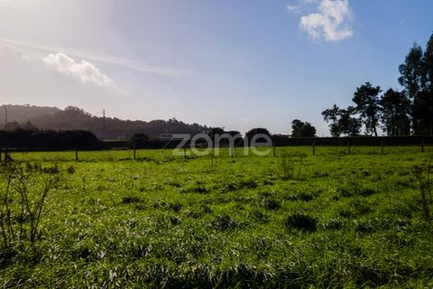 Helårsgrund i Esposende, Braga, Esposende - € 1.080.000 | Ref: ZMPT554509 - foto 11