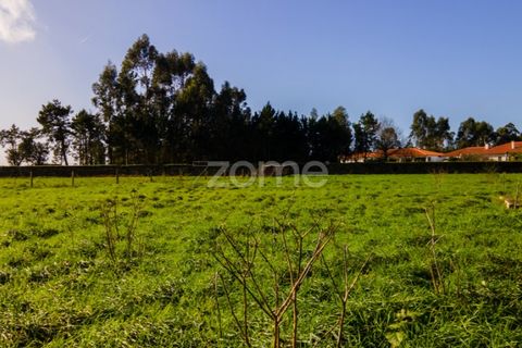 Helårsgrund i Esposende, Braga, Esposende - € 1.080.000 | Ref: ZMPT554509 - foto 12