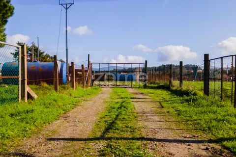 Helårsgrund i Esposende, Braga, Esposende - € 1.080.000 | Ref: ZMPT554509 - foto 13