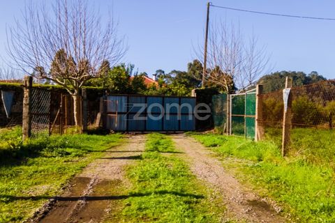 Helårsgrund i Esposende, Braga, Esposende - € 1.080.000 | Ref: ZMPT554509 - foto 14