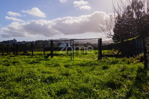 Helårsgrund i Esposende, Braga, Esposende - € 1.080.000 | Ref: ZMPT554509 - foto 15