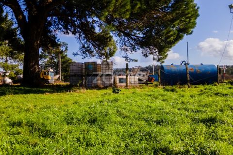 Helårsgrund i Esposende, Braga, Esposende - € 1.080.000 | Ref: ZMPT554509 - foto 16