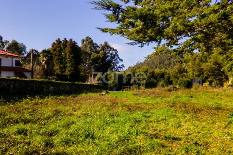 Helårsgrund i Esposende, Braga, Esposende - € 1.080.000 | Ref: ZMPT554509 - foto 17