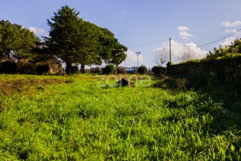 Helårsgrund i Esposende, Braga, Esposende - € 1.080.000 | Ref: ZMPT554509 - foto 19