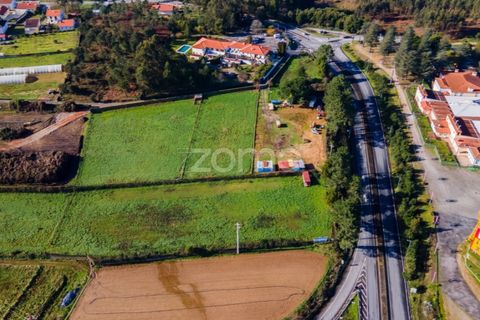 Helårsgrund i Esposende, Braga, Esposende - € 1.080.000 | Ref: ZMPT554509 - foto 24
