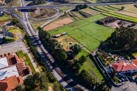 Helårsgrund i Esposende, Braga, Esposende - € 1.080.000 | Ref: ZMPT554509 - foto 25