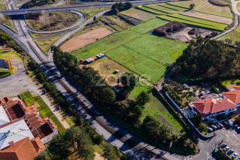 Helårsgrund i Esposende, Braga, Esposende - € 1.080.000 | Ref: ZMPT554509 - foto 26
