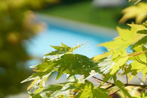 Villa i Mirandela, Braganca, Mirandela - € 425.000 | Ref: ZMPT585492 - foto 13