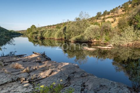 Villa i Mirandela, Braganca, Mirandela - € 425.000 | Ref: ZMPT585492 - foto 48