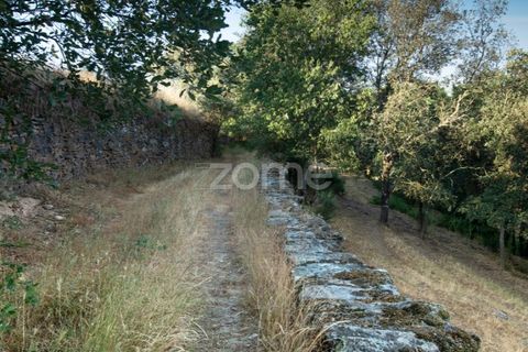 Villa i Mirandela, Braganca, Mirandela - € 425.000 | Ref: ZMPT585492 - foto 50