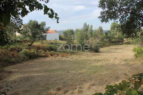 Helårsgrund i Melres e Medas, Porto, Melres e Medas - € 145.000 | Ref: ZMPT584747 - foto 12